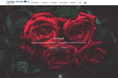 Razvoj web portala i platforme ROSIS4H